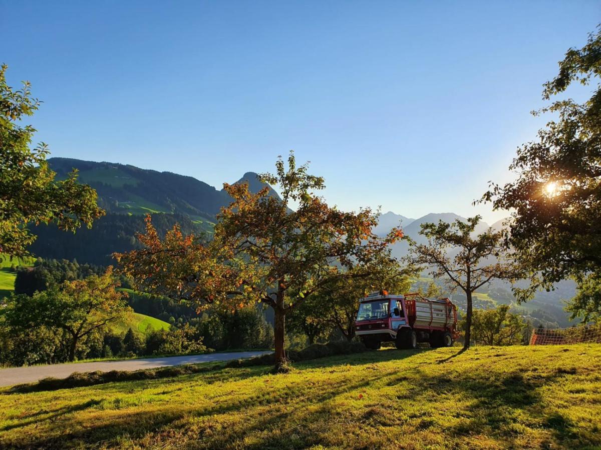 Hotel & Alpengasthof Pinzgerhof Reith im Alpbachtal Exteriör bild